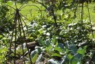 Huddlestonlandscape-gardener-26.jpg; ?>